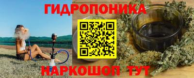 ECSTASY Обь