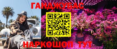 ECSTASY Обь