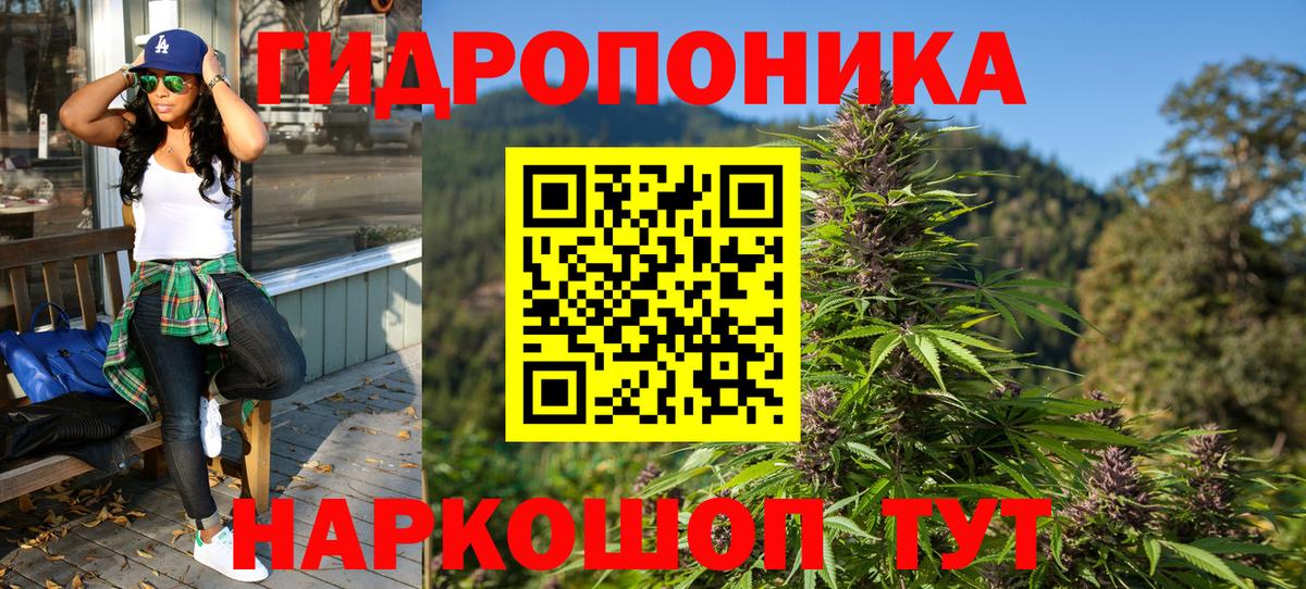 Бошки марихуана гибрид Хасавюрт